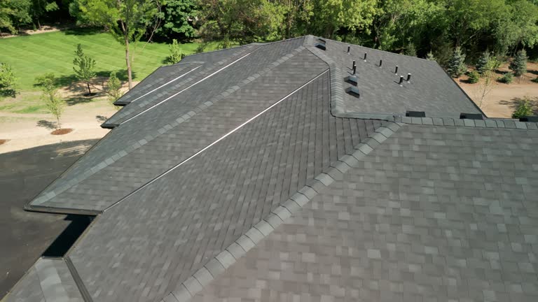 Best Roof Moss and Algae Removal  in Jessup, PA